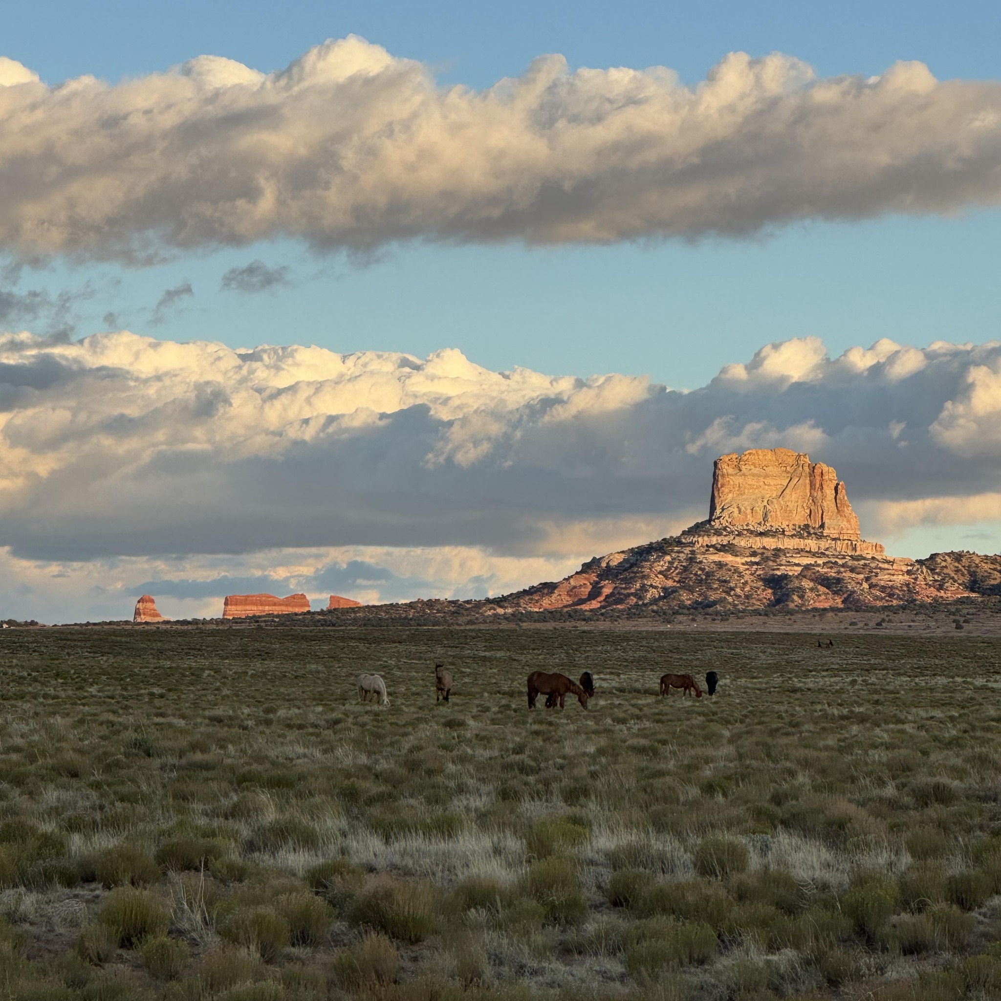 Protecting land